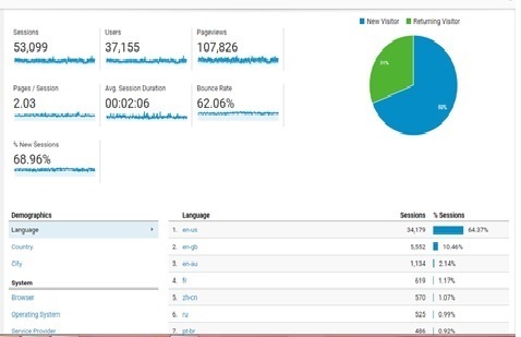 Visitor Analysis Report